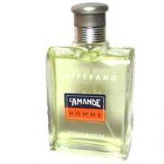 Zafferano
