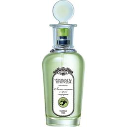 Aromaty prirody - List'ya tomata i chernoy smorodiny
