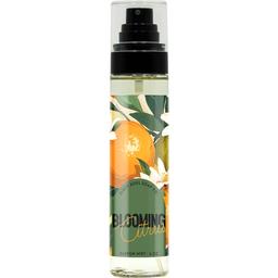 Blooming Citrus