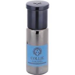 Collie