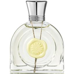 Fleur Lumière