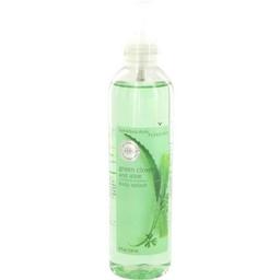Green Clover and Aloe