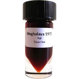 Meghalaya 1977