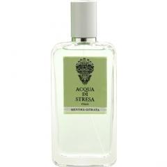 Mentha Citrata