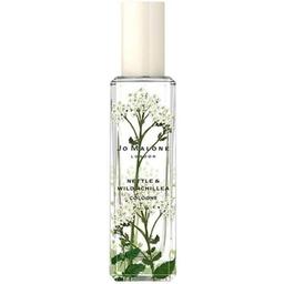 Nettle & Wild Achillea