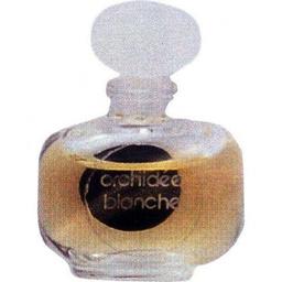 Orchidée Blanche