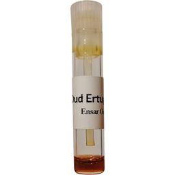 Oud Ertugrul II