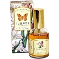 Tuberosa